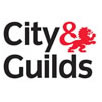 city and guilds highly qualified electricians